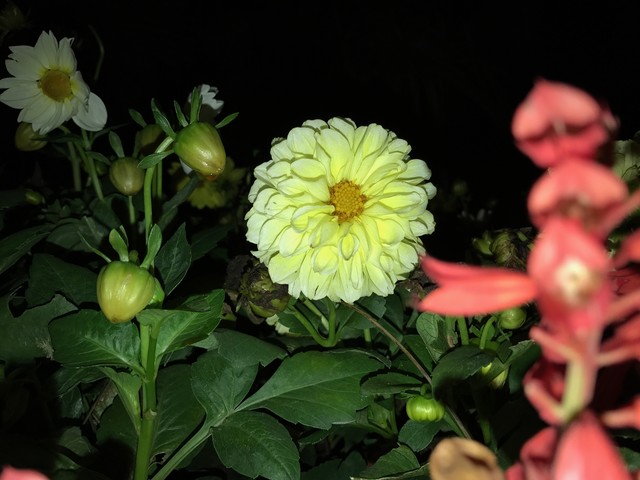 iPhone7=2x iPhone6s闪光灯 用处何在? 