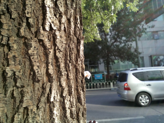 海量视频资源任你看 PPTV V1全面评测（待审核） 