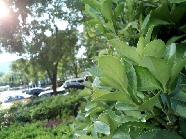 海量视频资源任你看 PPTV V1全面评测（待审核） 