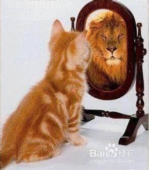 那么贵 为什么中国人还喜欢买苹果手机？