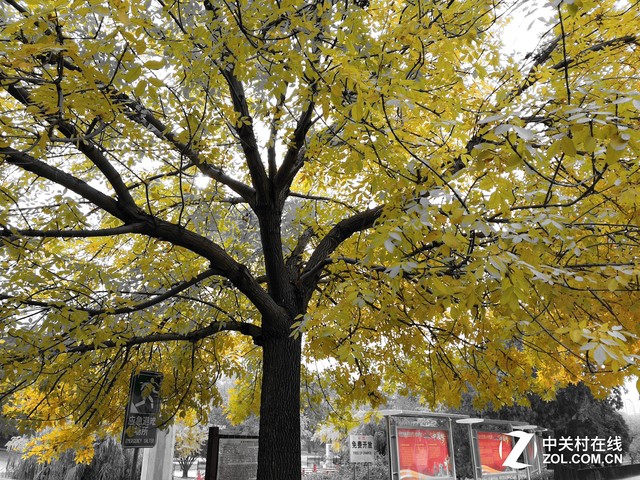 中兴天机7 MAX评测:随时看到好(3D)电影 