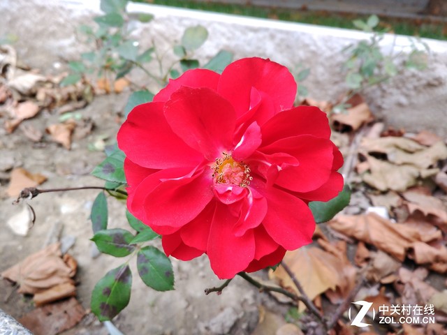 中兴天机7 MAX评测:随时看到好(3D)电影 