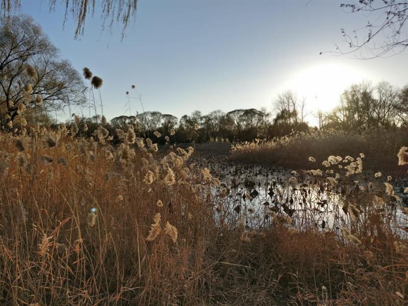 一加3T深度评测：不愧国产最强骁龙821旗舰！