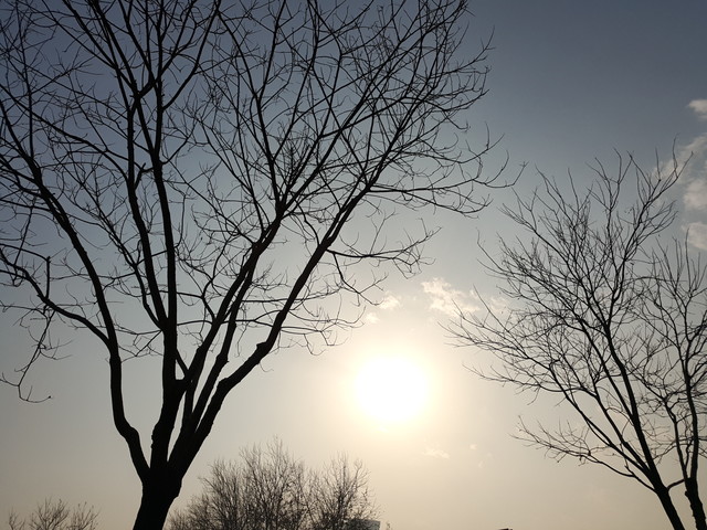 不太一样的大屏旗舰 魅族PRO6 Plus评测 