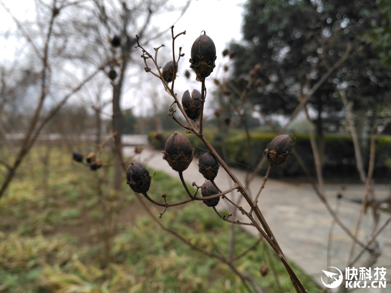 锤子涅槃之作 Smartisan M1L手机评测