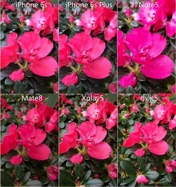 小米5/Mate8/Xplay5/Note5/iPhone 6s拍照对比