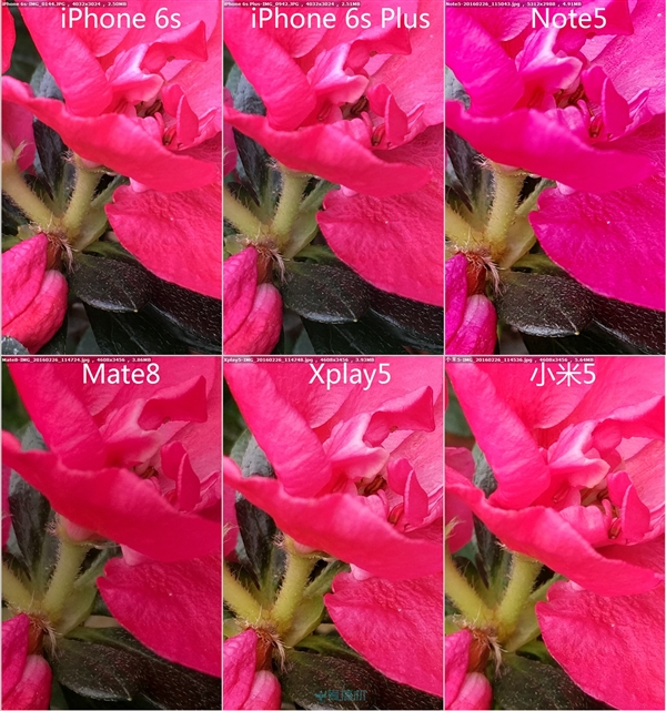 小米5/Mate8/Xplay5/Note5/iPhone 6s拍照对比
