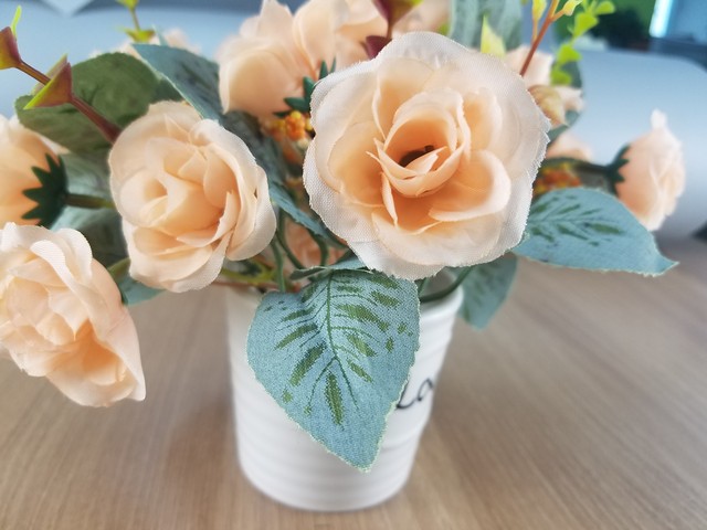 探寻一颗卓越的