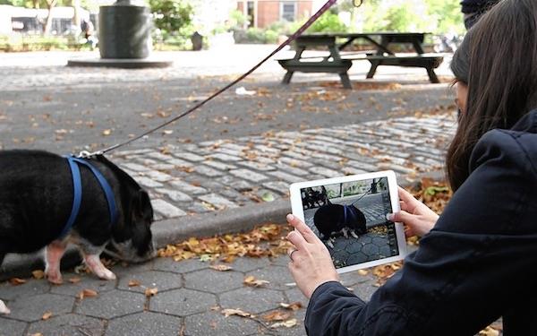 iPad Pro真需要那么好的摄像头吗？YES！