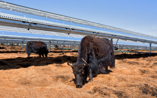 命运殊途 苹果回收的iPhone都去哪了? 