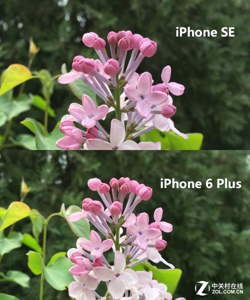 成像差在哪 iPhone SE/6s Plus比拍照 