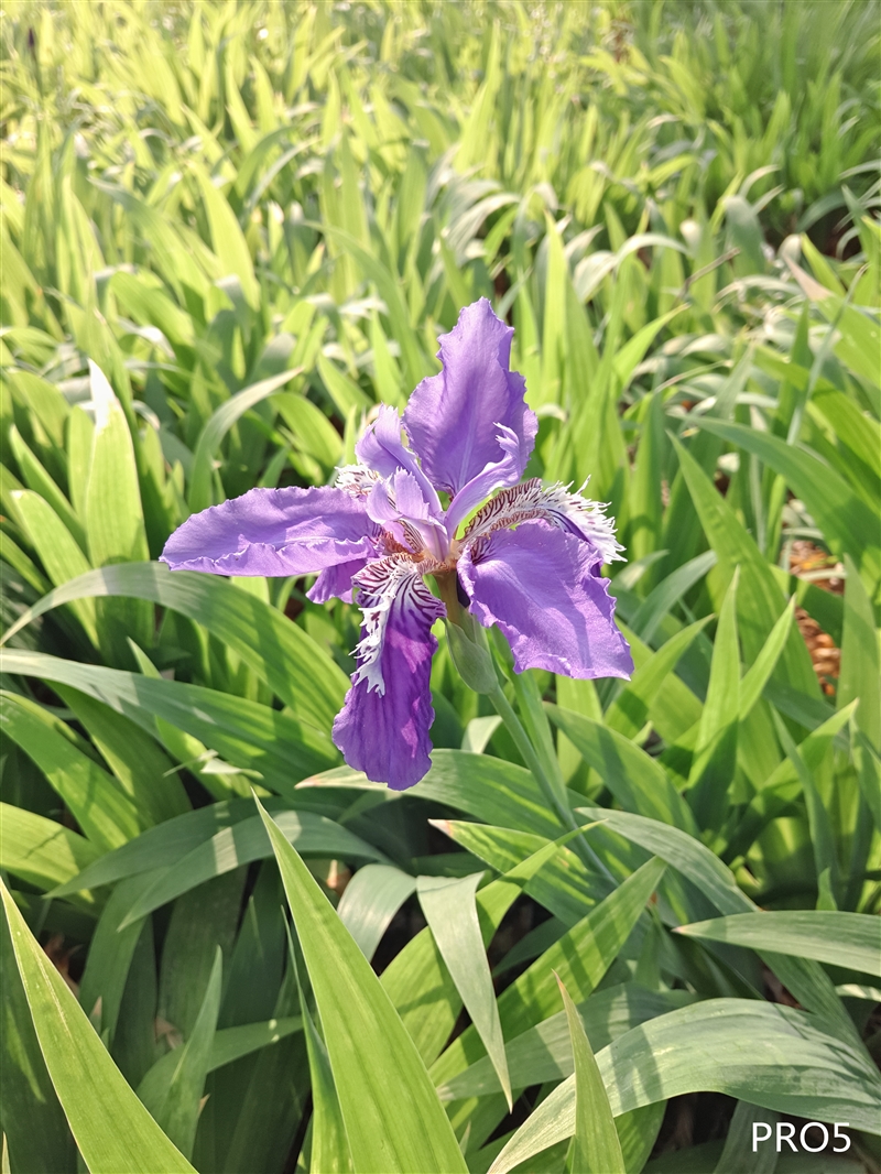 千元机新巅峰！魅蓝Note 3全面评测