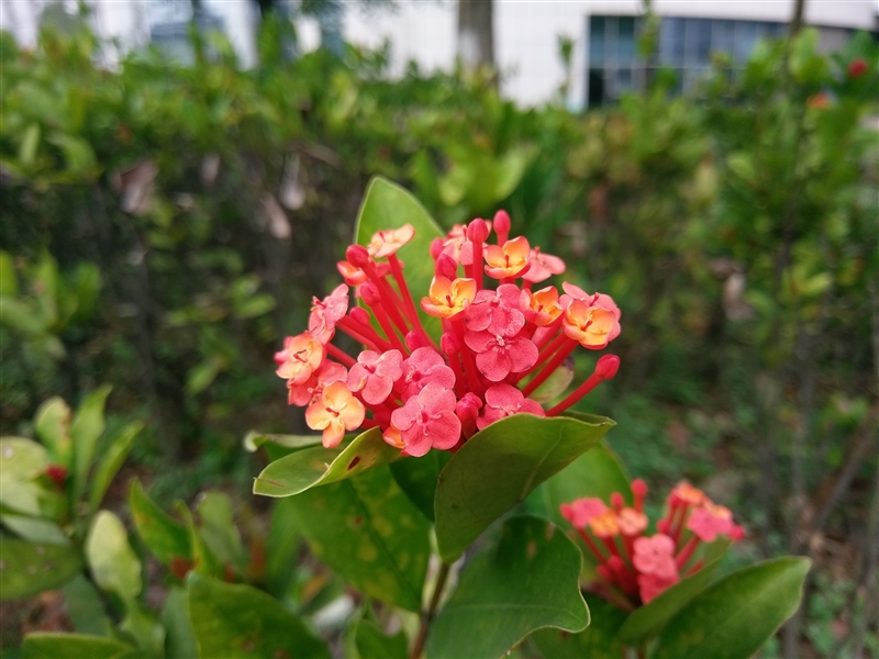 3799元！HTC 10上手体验：拍照媲美GS7