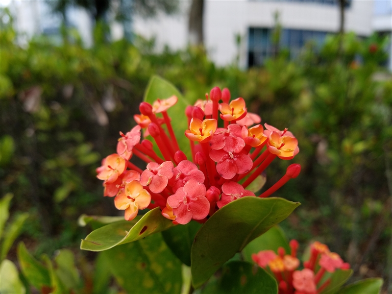 3799元！HTC 10上手体验：拍照媲美GS7