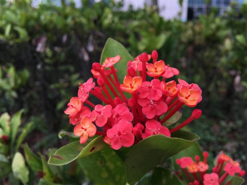 3799元！HTC 10上手体验：拍照媲美GS7