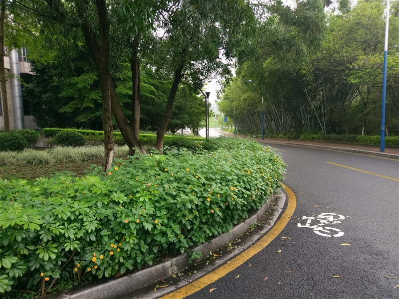 3799元！HTC 10上手体验：拍照媲美GS7