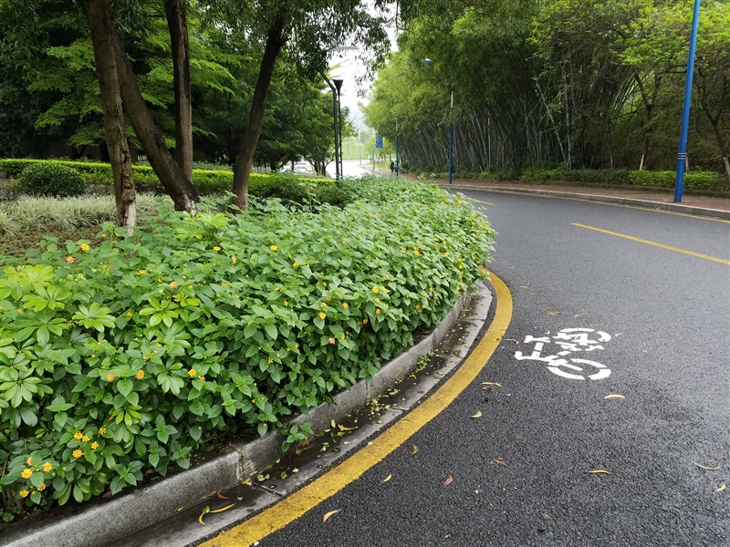 3799元！HTC 10上手体验：拍照媲美GS7