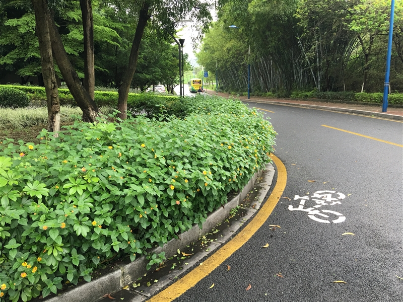 3799元！HTC 10上手体验：拍照媲美GS7