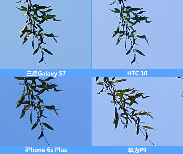 四款手机拍照评测对比 
