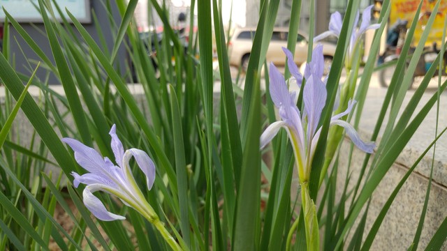 LG G5:一款模块化+双摄像头的不羁之作 