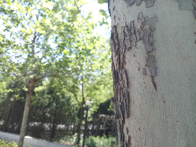 4GB RAM/曦力X20仅899元 360手机N4评测 