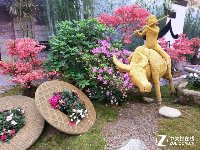 拿什么重拾信仰 HTC 10 lifestyle评测 