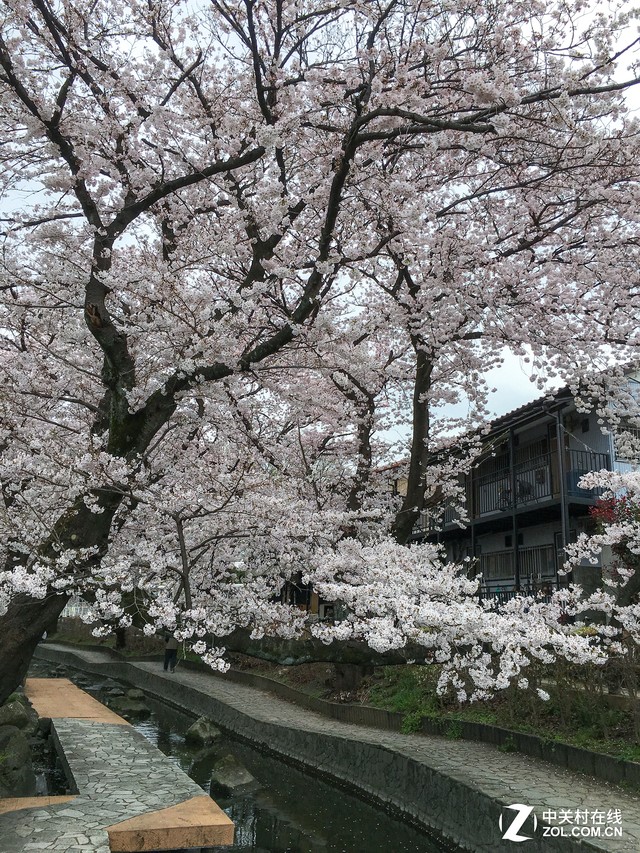 高像素更有高画质 OPPO R9 Plus日本游记 