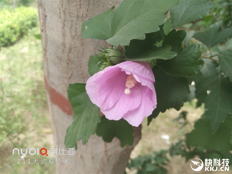 无边框美如画！nubia Z11旗舰深度评测