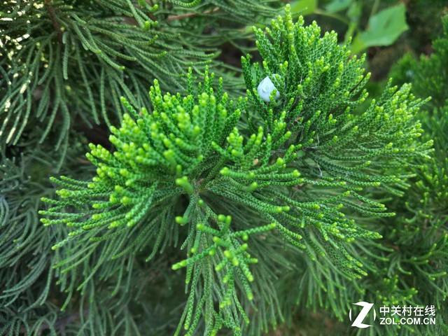 一加3盲测先不发先不发先不发先不发先 