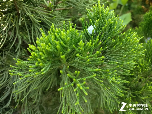 一加3盲测先不发先不发先不发先不发先 