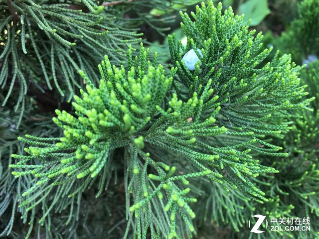 一加3盲测先不发先不发先不发先不发先 