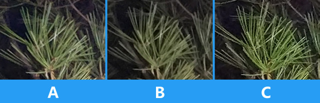 一加3/小米5/iPhone 6sP拍照盲测大比拼 