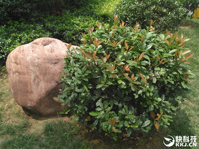 2399元超越电信机！华为麦芒5首发评测