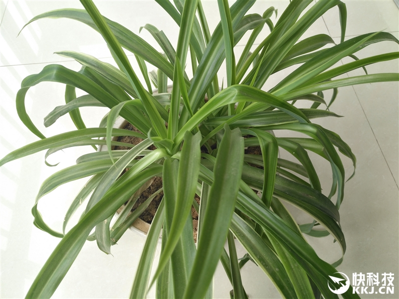 2399元超越电信机！华为麦芒5首发评测