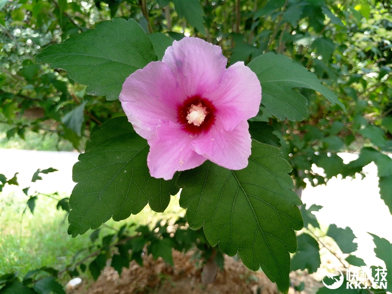 1999元新梦想！魅族MX6评测：有点纠结