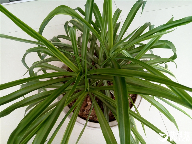 1999元新梦想！魅族MX6评测：有点纠结