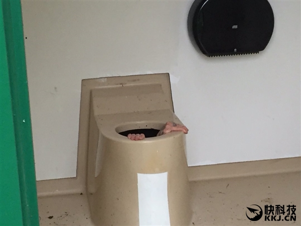 囧！奇葩男钻公厕马桶捞手机 弄一身屎还被卡住