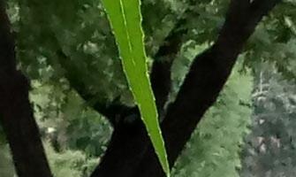 史上最大魅族手机！魅蓝Max评测：不只是大