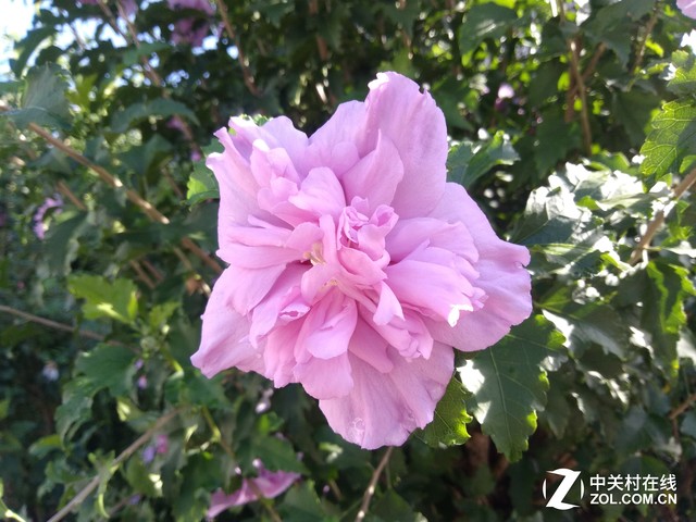 用双摄去记录世界 AGM X1旅行手机评测 