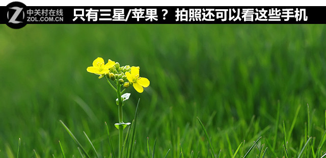 只有三星和苹果？ 拍照还可以看这几款 