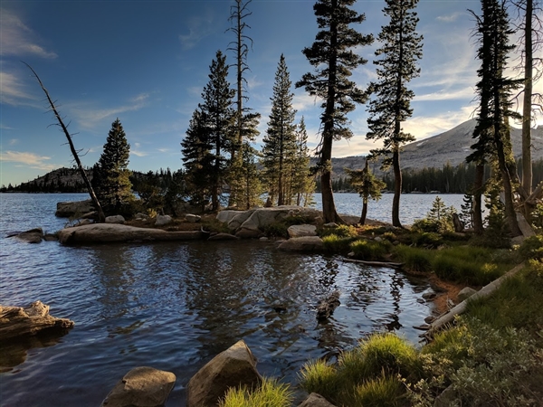 这就是手机新拍照王！谷歌Pixel样张出炉