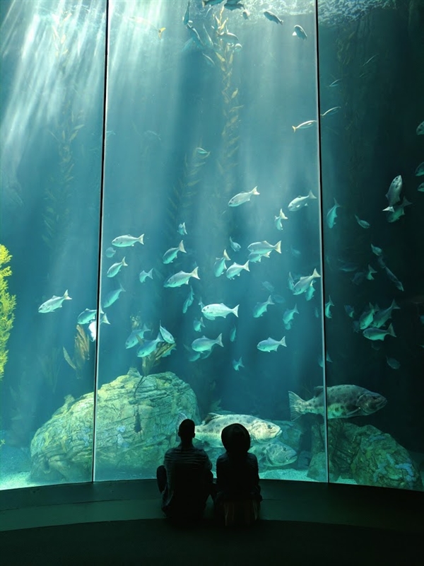 这就是手机新拍照王！谷歌Pixel样张出炉