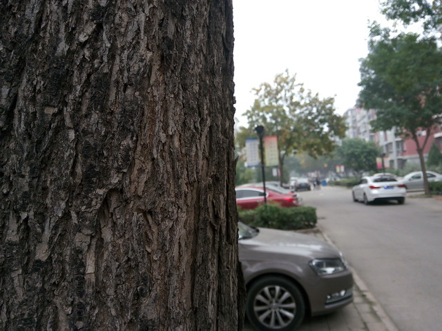 360N4A:质价比一流的千元价位良品手机 