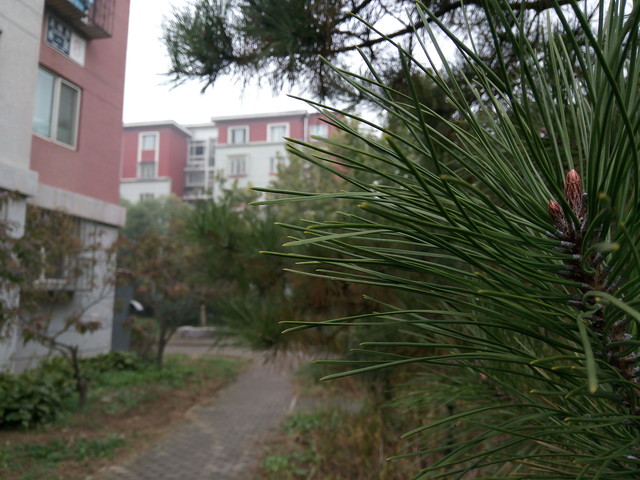 360N4A:质价比一流的千元价位良品手机 