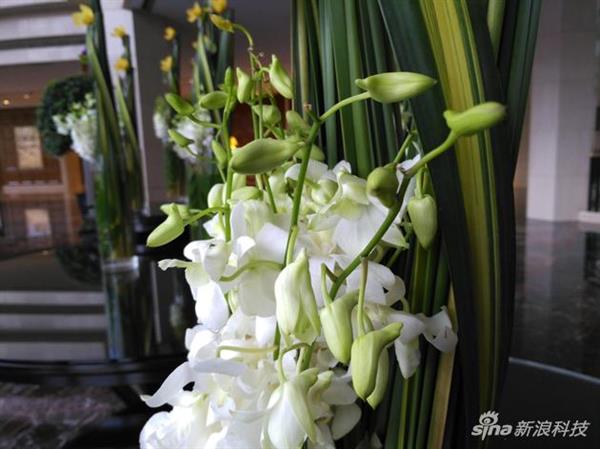 锤子M1/M1L首发评测：除了像iPhone还有什么？