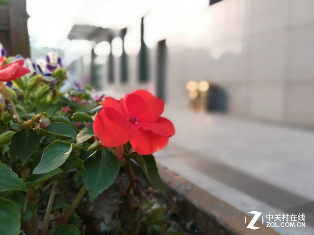 荣耀6X双摄像头拍照体验 