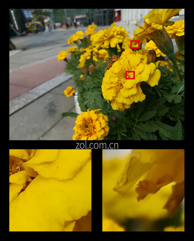 荣耀6X双摄像头拍照体验 