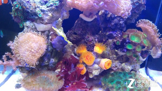 金刚2S评测：三防之外给你第四层安全感 