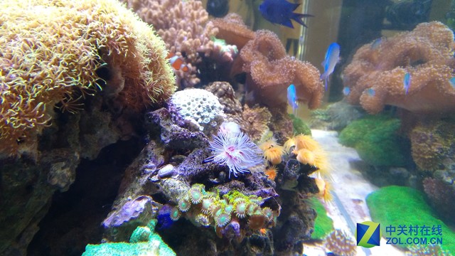 金刚2S评测：三防之外给你第四层安全感 