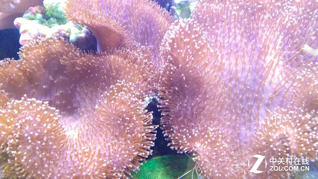 金刚2S评测：三防之外给你第四层安全感 